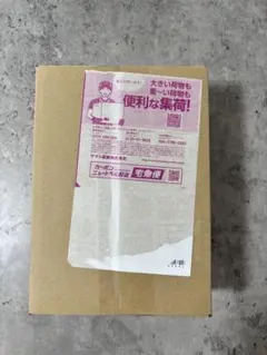 ポケセン産　MEGA 拡張パック インフェルノ X BOX