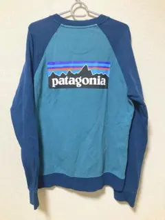 パタゴニア P-6 ロゴ スウェット シャツ S