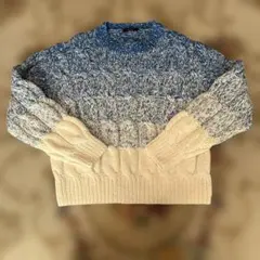 極美品　アルアバイル　ルルウィルビー グラデーションケーブルプルオーバー