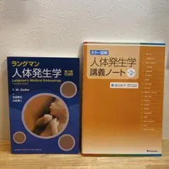 Item thumbnail for item 36bd1678-3592-45dc-b46a-e13724e21204