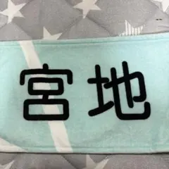 日向坂46 宮地すみれ 個別推しメンタオル 4th Members Live