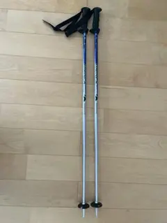 Item thumbnail for item 5f66fc48-7cae-4990-b28e-7c804ee0e56a