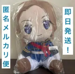 2025年最新】ヘタリアBIGぬいぐるみの人気アイテム - メルカリ