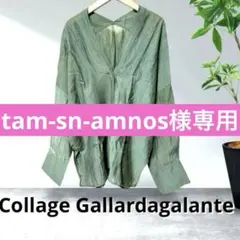 未使用サンプル品◼️COLLAGEガリャルダガランテ ジップアップシアーブルゾン 未使用サンプル品◼️COLLAGEガリャルダガランテ ジップアップシアー