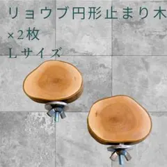 Item thumbnail for item 69a022a1-0ca1-4c72-aeb1-4607f8087e01