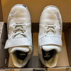 Item thumbnail for item 3a62d68a-7f1c-41c8-9385-43792f500636