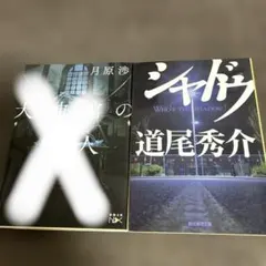 Item thumbnail for item 06335383-8a96-4af2-9c53-8659e61e0a9b