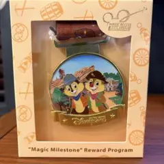 香港ディズニー　チップとデール　メダル　年パス　特典　マジックアクセス