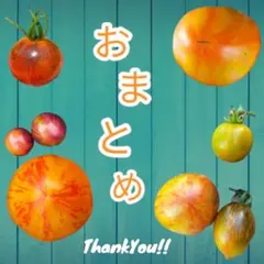 cheeny様 リクエスト 5点 まとめ商品