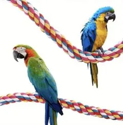 鳥用 ロープの止まり木 ペット 60cm カラフル 自由自在 遊び おもちゃ
