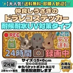 可愛いうさぎのドラレコステッカー2枚組のサムネイル