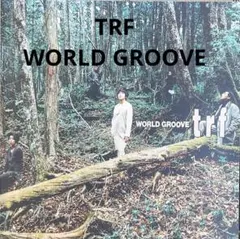 2026年最新】trf world groove dvdの人気アイテム - メルカリ