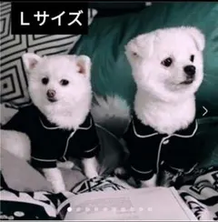 犬服 ペット服 かわいい ドッグウェア 黑色 Lサイズ ルームウェアのサムネイル
