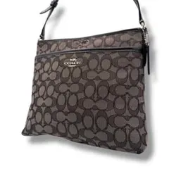 良品 COACH ショルダーバッグ シグネチャー ブラック F29960