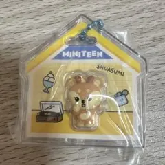 MINITEEN パッケージチャーム　SHUASUMI ジョシュアのサムネイル