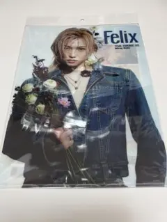 straykids FELIX クリアファイルのサムネイル