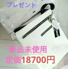 最終値下!　新品タグ付カステルバジャック　大きめショルダーバッグのサムネイル