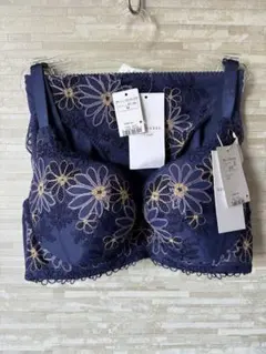 E75M」トリンプ プレミアム ゴールドレーベル 刺繍ガーベラの花 ブラショーツ