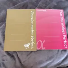 TOSS NOTEBOOK トスノート 2冊 ピンク ゴールド