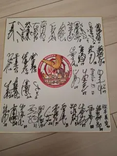 火の鳥NIPPON　女子バレー　福袋　全員　サイン色紙　佐藤淑乃　石川真佑 火の鳥NIPPON 女子バレー 福袋 全員 サイン色紙 佐藤淑乃 石川真佑 火