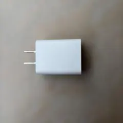 SANWA SUPPLY ACアダプタ ACA-IP87W