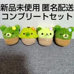 2026年最新】サボテンになりきりぬいぐるみの人気アイテム - メルカリ