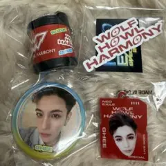 GHEE めじるしチャーム 缶バッジ ステッカー コインシリンダー コンプセット