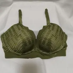 エスバイスロギー ブラジャー 【L】のサムネイル