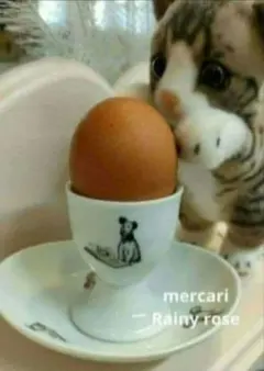 Item thumbnail for item ab8958a1-dfc6-4481-848e-35247782d681