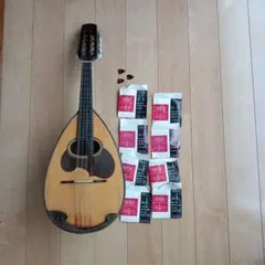 SUZUKI M-50 Mandolin マンドリン ハードケース付き