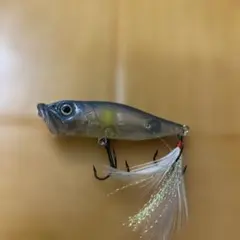 tktkskhk様 リクエスト 2点 まとめ商品