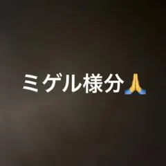 専用出品