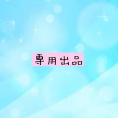 のん様 専用出品