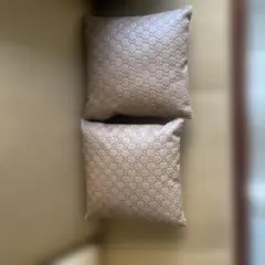 2026年最新】GUCCI クッション・座布団の人気アイテム - メルカリ