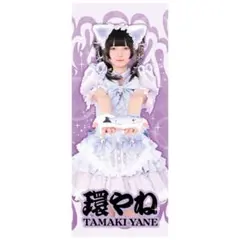 きゅるりんってしてみて 環やね アクスタ アクキー セット 初期グッズ きゅるりんってしてみて 環やねトレーディングカード 逃げ水あむ ペア
