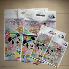 ディズニーリゾート　ショップ袋②