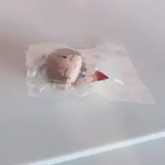 テニプリ 不二周助 カラコレ