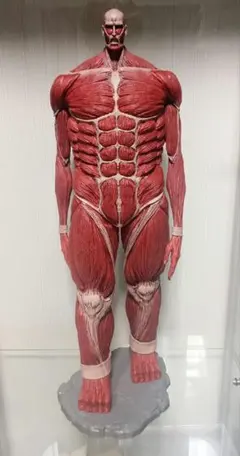 2025年最新】進撃の巨人 一番くじ ラストワンの人気アイテム