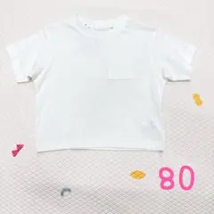 無地