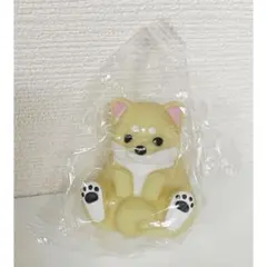 やわもっち　まめしば　ごましば　おすわり