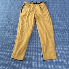 Item thumbnail for item 7d6d5d62-269a-4f16-b317-bf2a83eb52dc