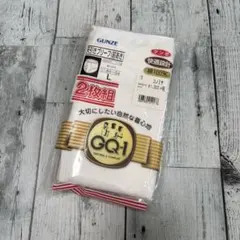 未開封 グンゼ 天引き ブリーフ 前あき Lサイズ 2枚組 綿100% 白のサムネイル