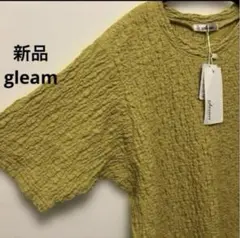 新品未使用gleamクラッシュジャガードプルオーバー半袖Tシャツ Fサイズのサムネイル