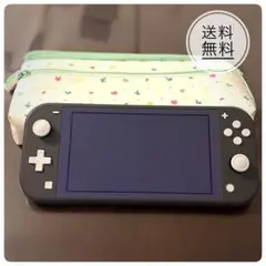 美品✴︎Nintendo Switch Lite グレー 本体 ACアダプター付き Nintendo Switch Lite グレー 本体 ACアダプター付き Nintendo