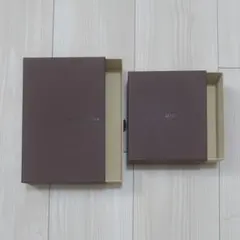 LOUIS VUITTON　ルイ・ヴィトン　空き箱　2個セット