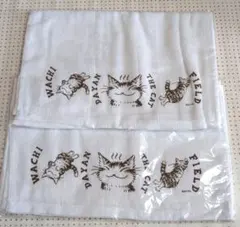 わちふぃーるど　猫のダヤン　温泉タオル　未使用　2個　セット　湯けむり