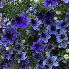 LTM様 リクエスト 2点 まとめ商品