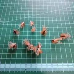 Item thumbnail for item 3b64b7ae-d3cb-4511-a237-c7076c006e35