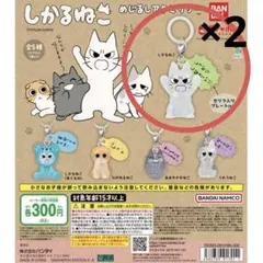 しかるねこ　めじるしアクセサリー