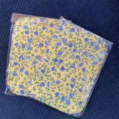 ランチョンマット　2枚セット